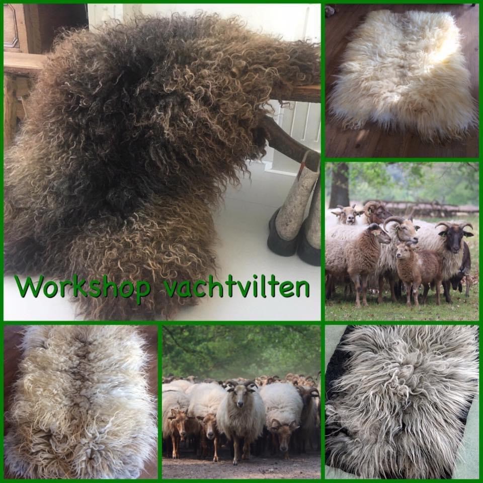 Cursus Vachtvilten Holtinger Schaapskudde Havelte Cursus Vachtvilten Holtinger Schaapskudde Havelte