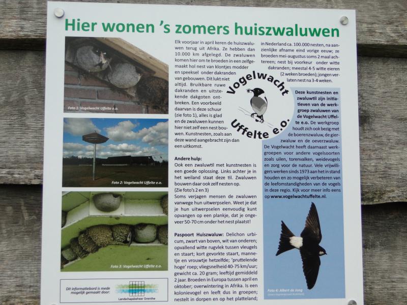 infobordzwaluwen