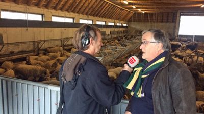 interviewtvDrenthe2016k