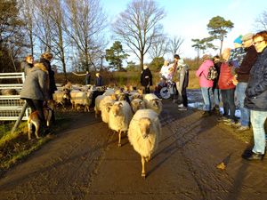 winterwandeling6k