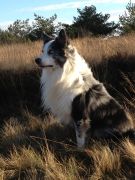Ernie-2013-09-08