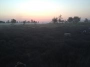 IMG0803