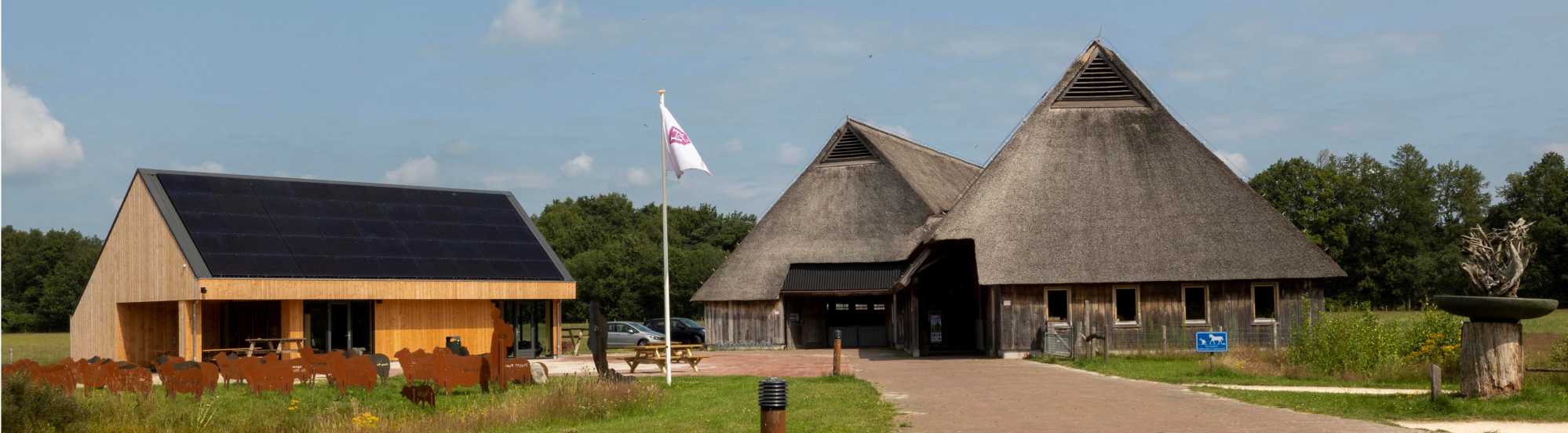 Schaapskooi Holtinger Schaapskudde Havelte heideschapen natura2000 Toegangspoort Holtingerveld